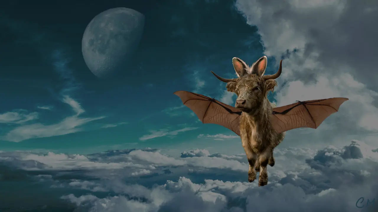 Custom Photoshop creature.